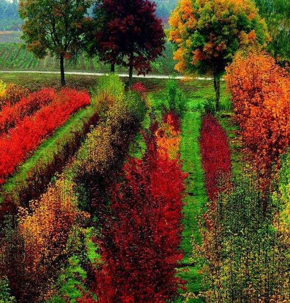 Autumn Equinox, Northern Hemisphere (September)